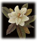 Southern Romance Novels by Loraine Despres 
